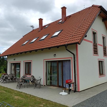 Apartmany U Olsinske Kaplicky Horní Planá 외부 사진