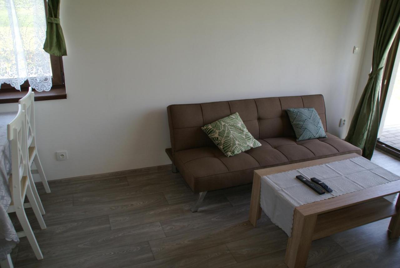 Apartmany U Olsinske Kaplicky Horní Planá 외부 사진