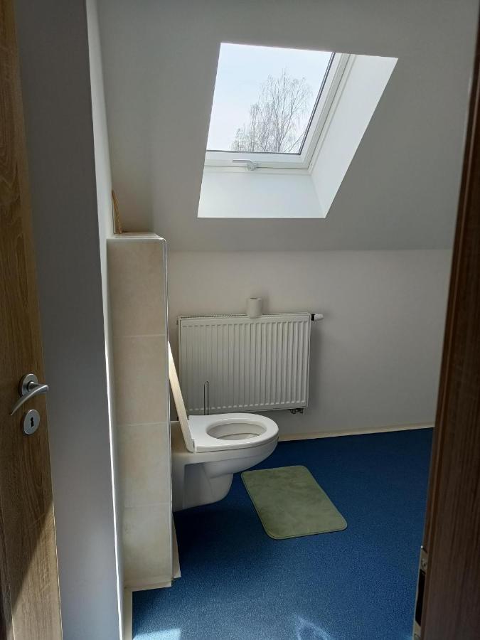 Apartmany U Olsinske Kaplicky Horní Planá 외부 사진