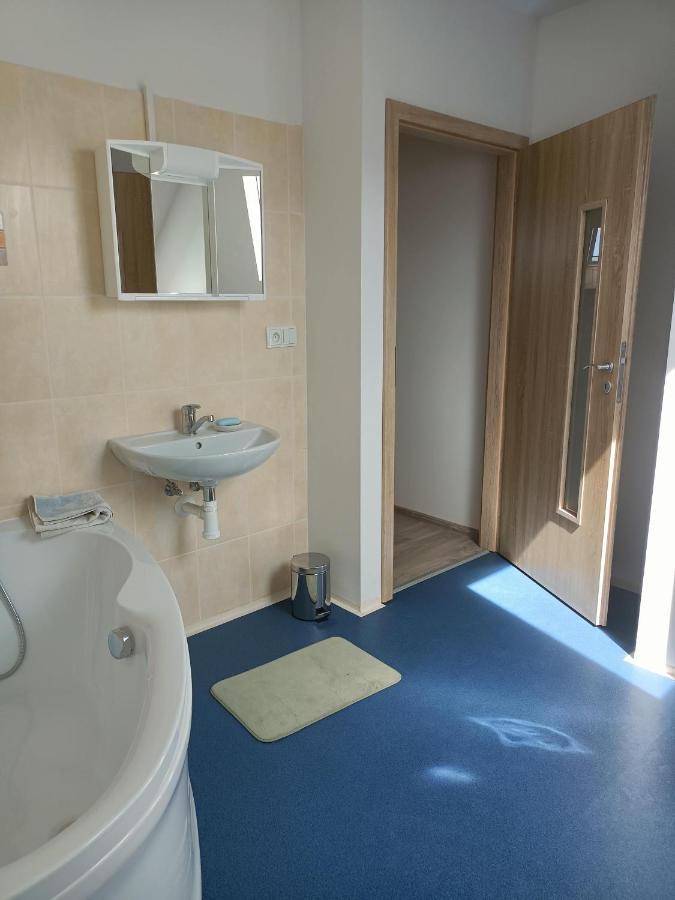 Apartmany U Olsinske Kaplicky Horní Planá 외부 사진