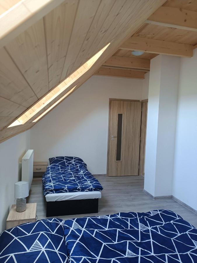 Apartmany U Olsinske Kaplicky Horní Planá 외부 사진