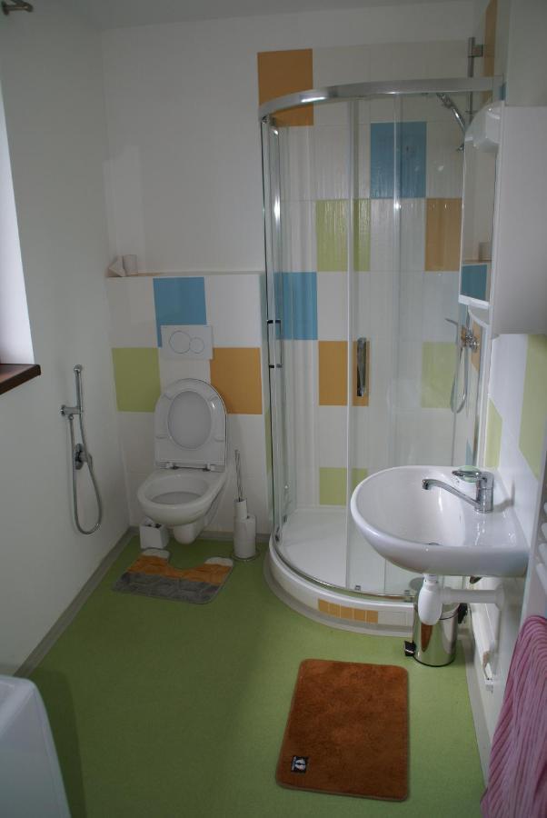 Apartmany U Olsinske Kaplicky Horní Planá 외부 사진
