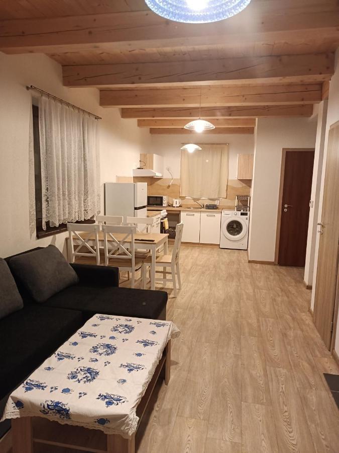Apartmany U Olsinske Kaplicky Horní Planá 외부 사진